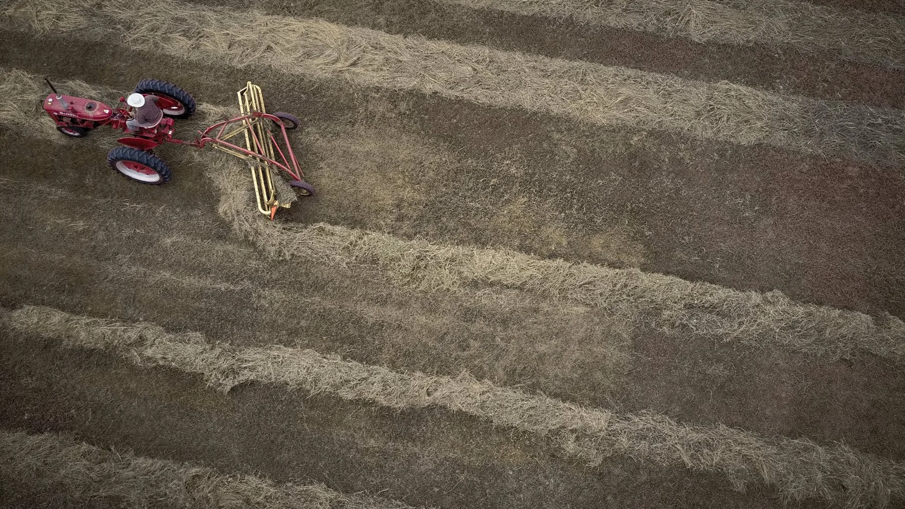 The geometry of a morning, from above