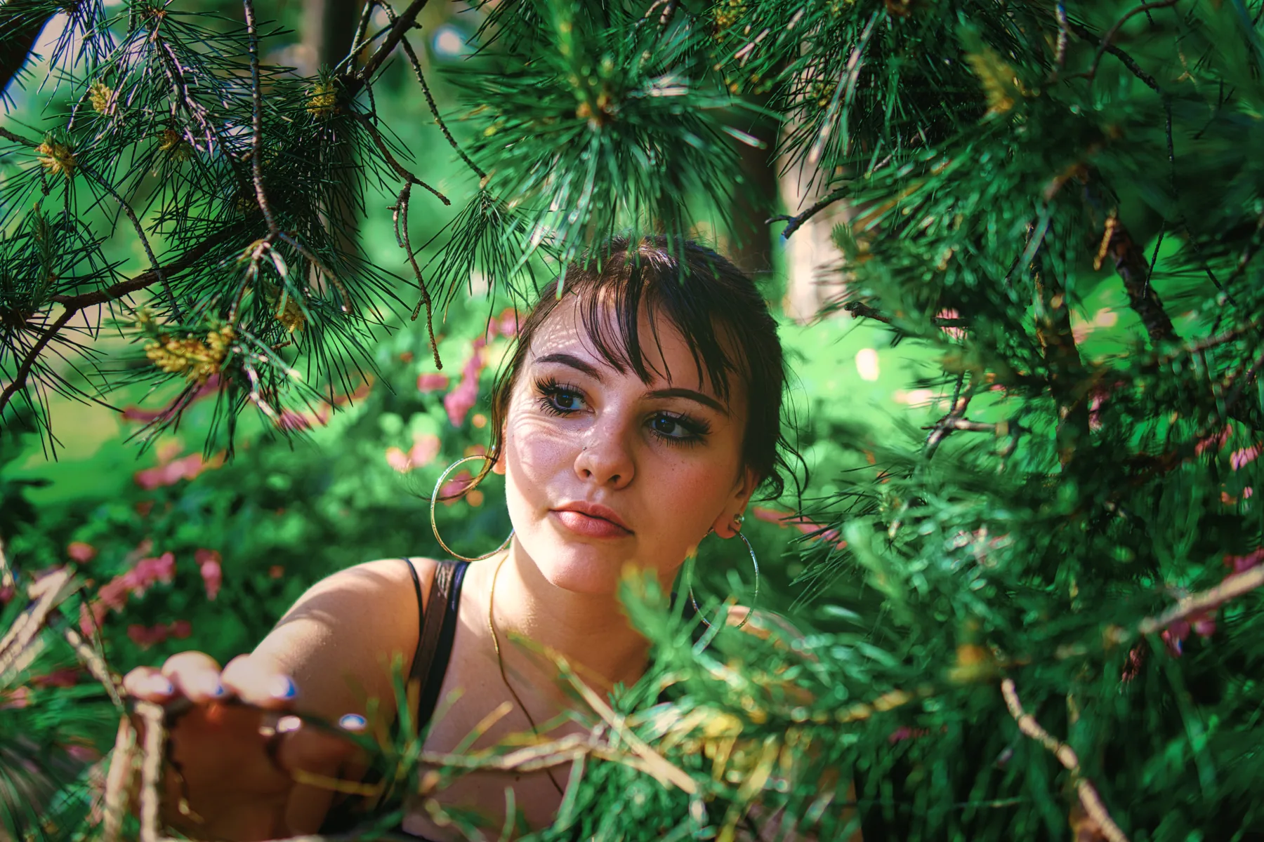 Understory, found in the green, by Bryan Korth