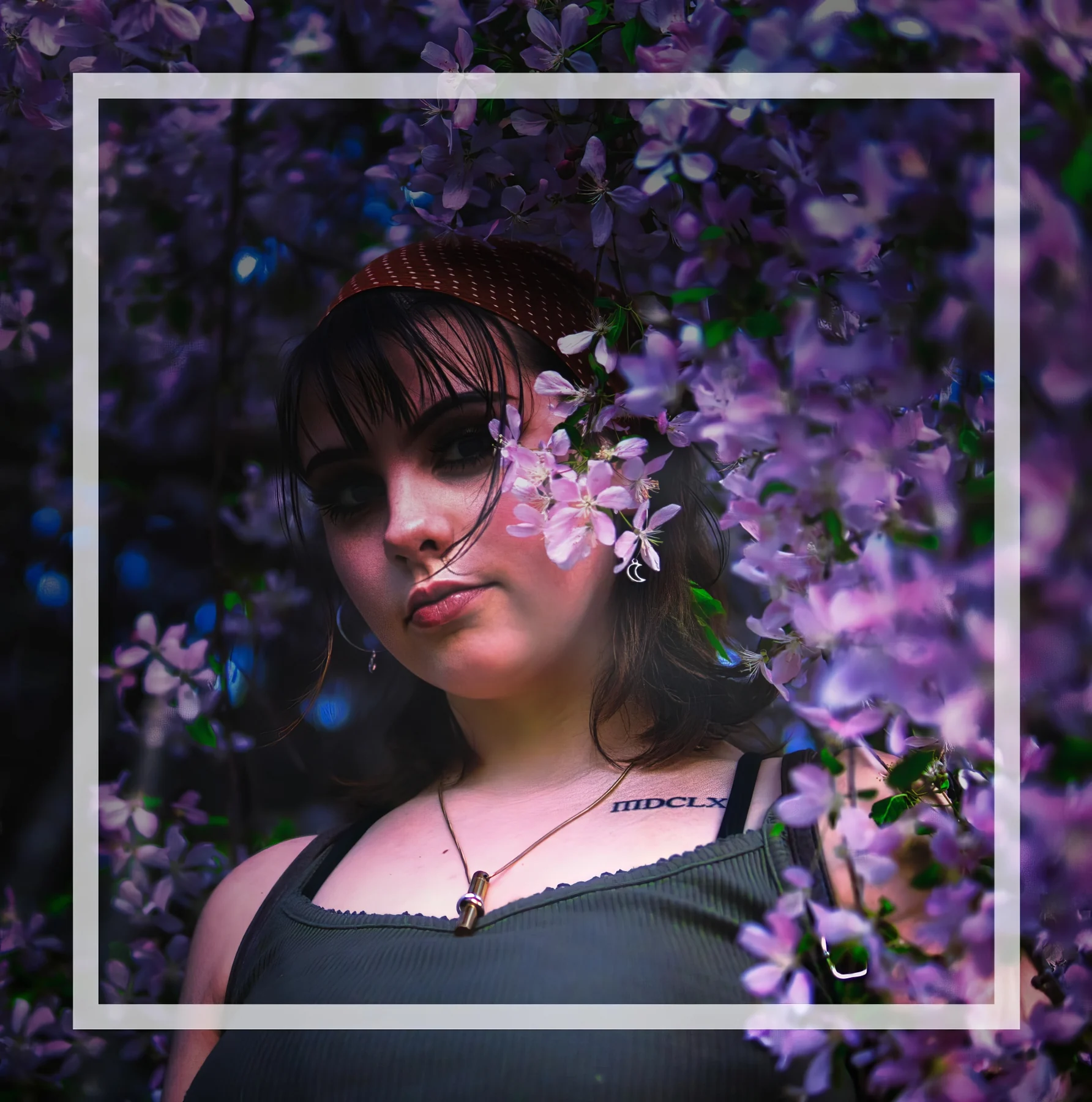 Wisteria, framed in bloom, by Bryan Korth